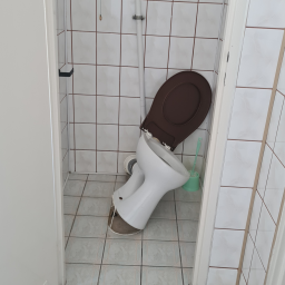 School toilet simulator [SinglePlayer]