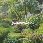 gardenia's