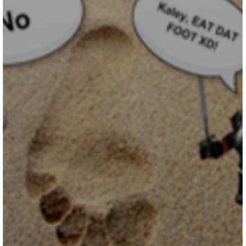 The Museum Of Feet
