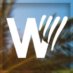 Wyanair.