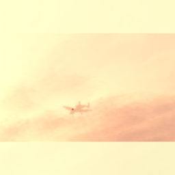 U.S.A. || Syrian Desert