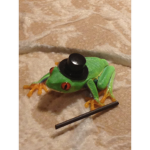 The Tree Frogs (And fluffy ducks)