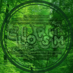 Eliorsum Studio!