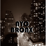 NYC: Bronx Community