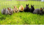 The hangout Group <3