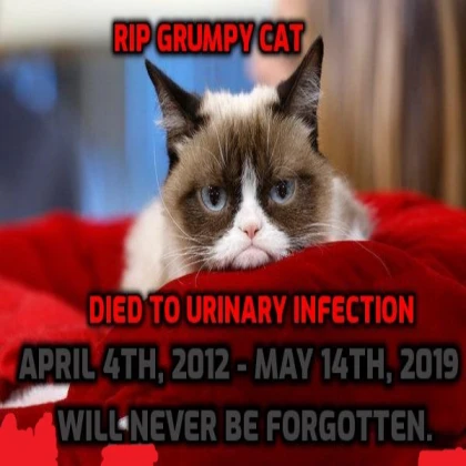 RIP Grumpy cat