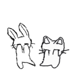 .xp'