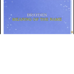 Braydon developer
