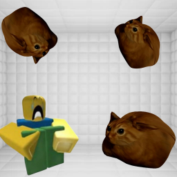 The Padded Room