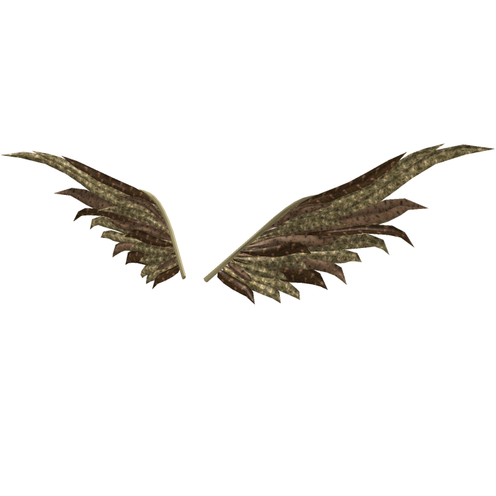 Boho Halloween Cottagecore Crow Wings