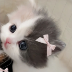 RichUgc<3 Group Thumbnail