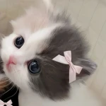 RichUgc<3 Group Thumbnail