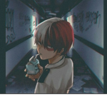Shoto totoroki fan-Club