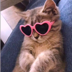 AnnaxDianna Swagsters