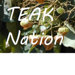 Teak Nation