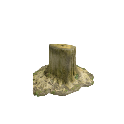 Low Poly Tree Stump (SurfaceAppearance)