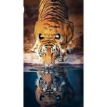 The wild Animals.
