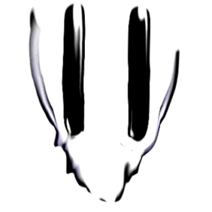 scary face Inverted Roblox decal
