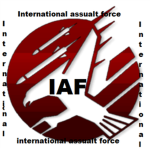 international assualt forces