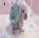 안녕 omg