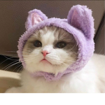 R.B.G Roblox Bff Group