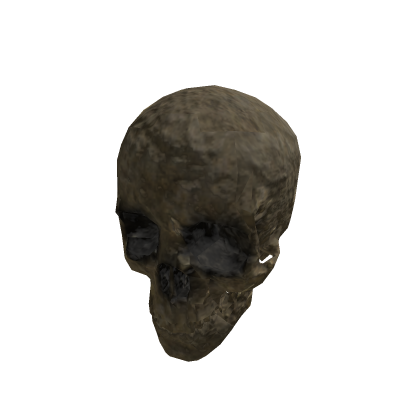 Realistic Skull