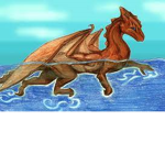 The Dragons team