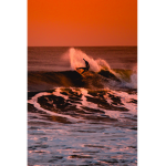 surfer gals