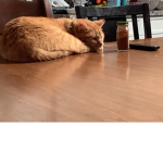 All hail the legendary Milo.