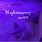 N1ghtmare17