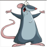 Rats are great:)