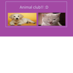 Animal club!!!!!;D!!!!!!