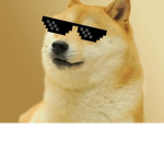 The coolest doges in the world
