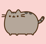 !…{Cat Club}…!