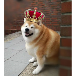 roblox doge gang group meeting
