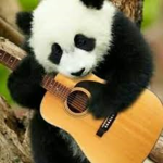 epic pickle panda gang