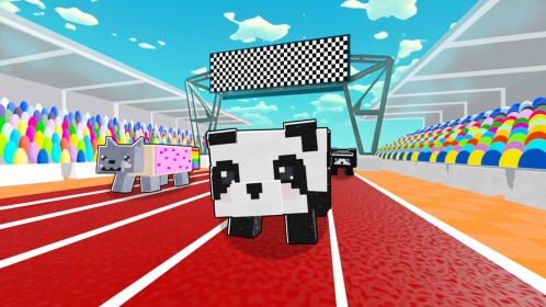 Race Pandas!