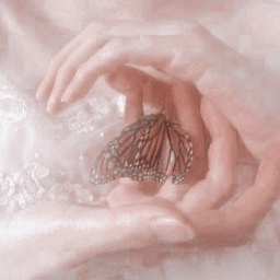 ♡︎