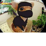 ninjaboss_2145