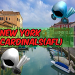 New York Cardinals (AFL) Group Thumbnail