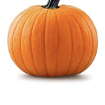 Thy Pumpkin Tribe