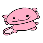 Adan's Axolotl