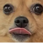 Epik Cheezitz