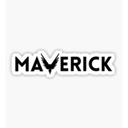 The Official MaverickPros Place