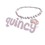 quincy 3.0