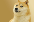 Doge committee