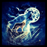 wild fox (FAN GROUP)
