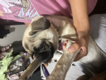 milaluv_16