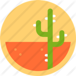 Desierto de Cactus