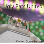 The Ugly Rats United
